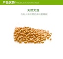 Health Balance卵磷脂400粒 血管”清道夫”