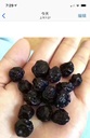 Kirkland天然蓝莓干567g