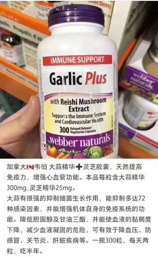 Webber naturals Garlic Plus 大蒜灵芝精华胶囊300粒*2  两瓶装