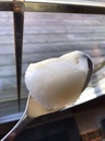 Wendell温德尔庄园纯天然白蜜1kg