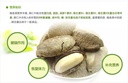 Kirkland 有机巴西坚果 巴西鲍鱼果 680g 富含硒