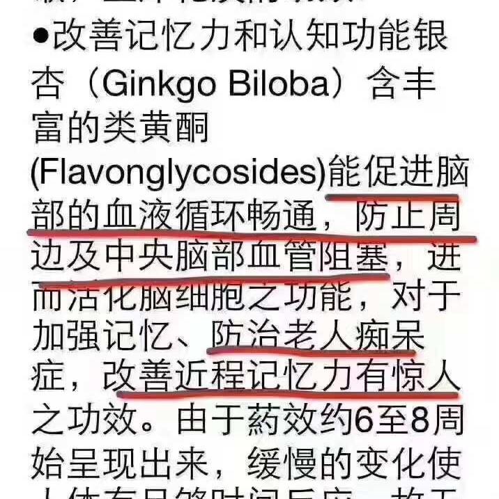 webber naturals ginkgo biloba 银杏胶囊120mg300粒