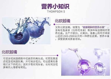 Webber Naturals天然蓝莓花青素护眼胶囊120粒